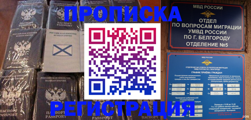 прописка гарантия в Жердевке